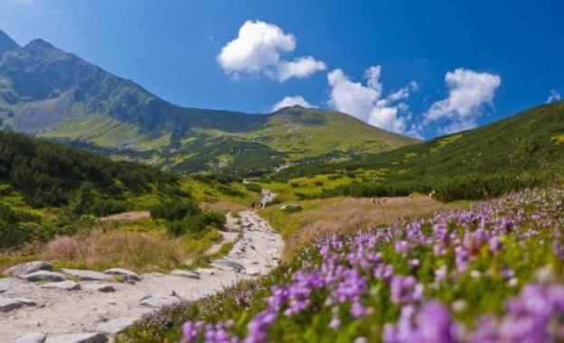 House Hanka, High Tatras Stara Lesna Exterior photo